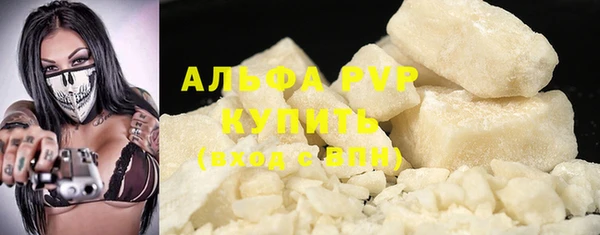 ешки Новозыбков