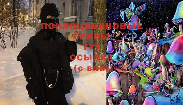 СК Абаза