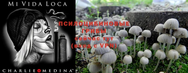 альфа пвп Новокубанск