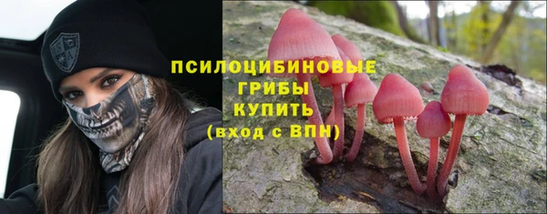 ешки Новозыбков