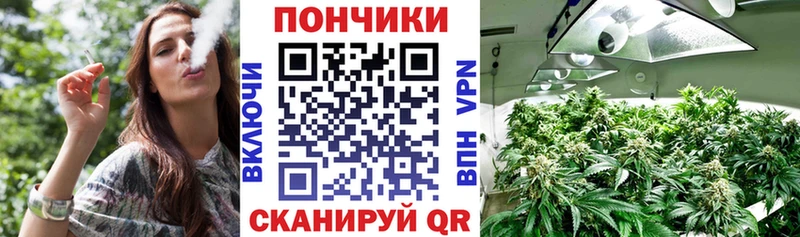 Бошки марихуана индика Хилок